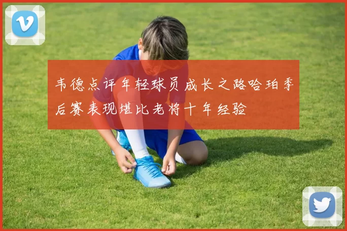 韦德点评年轻球员成长之路哈珀季后赛表现堪比老将十年经验