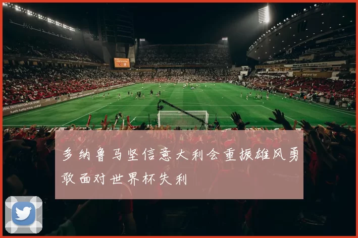 多纳鲁马坚信意大利会重振雄风勇敢面对世界杯失利