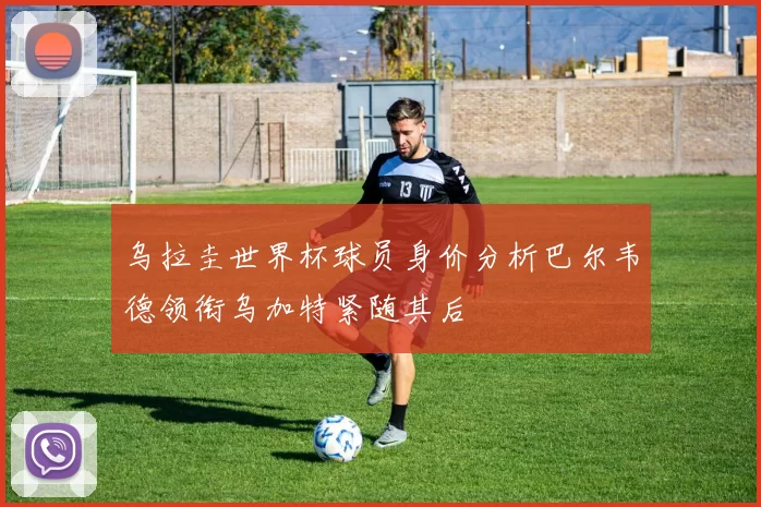 乌拉圭世界杯球员身价分析巴尔韦德领衔乌加特紧随其后
